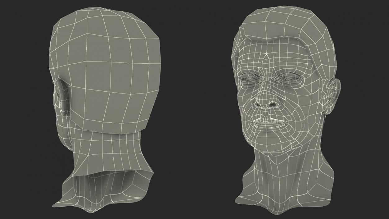 3D Elderly Man Head