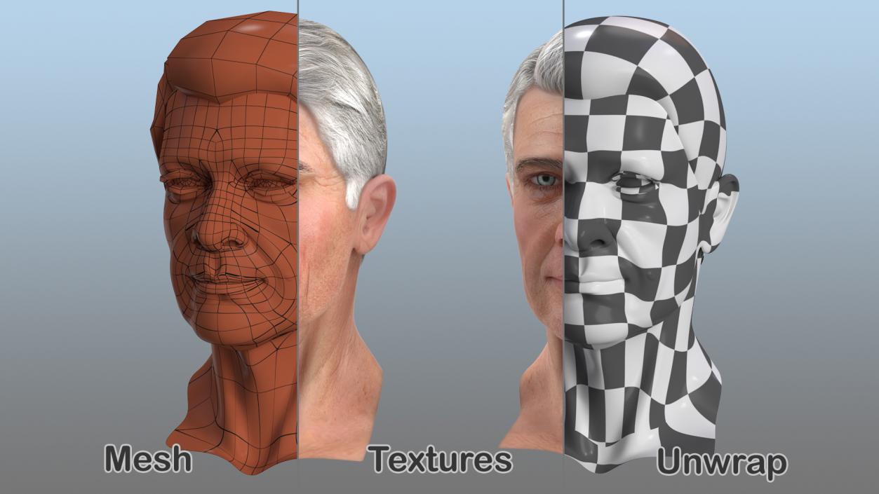 3D Elderly Man Head