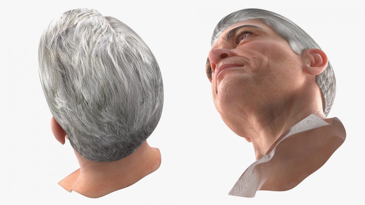 3D Elderly Man Head