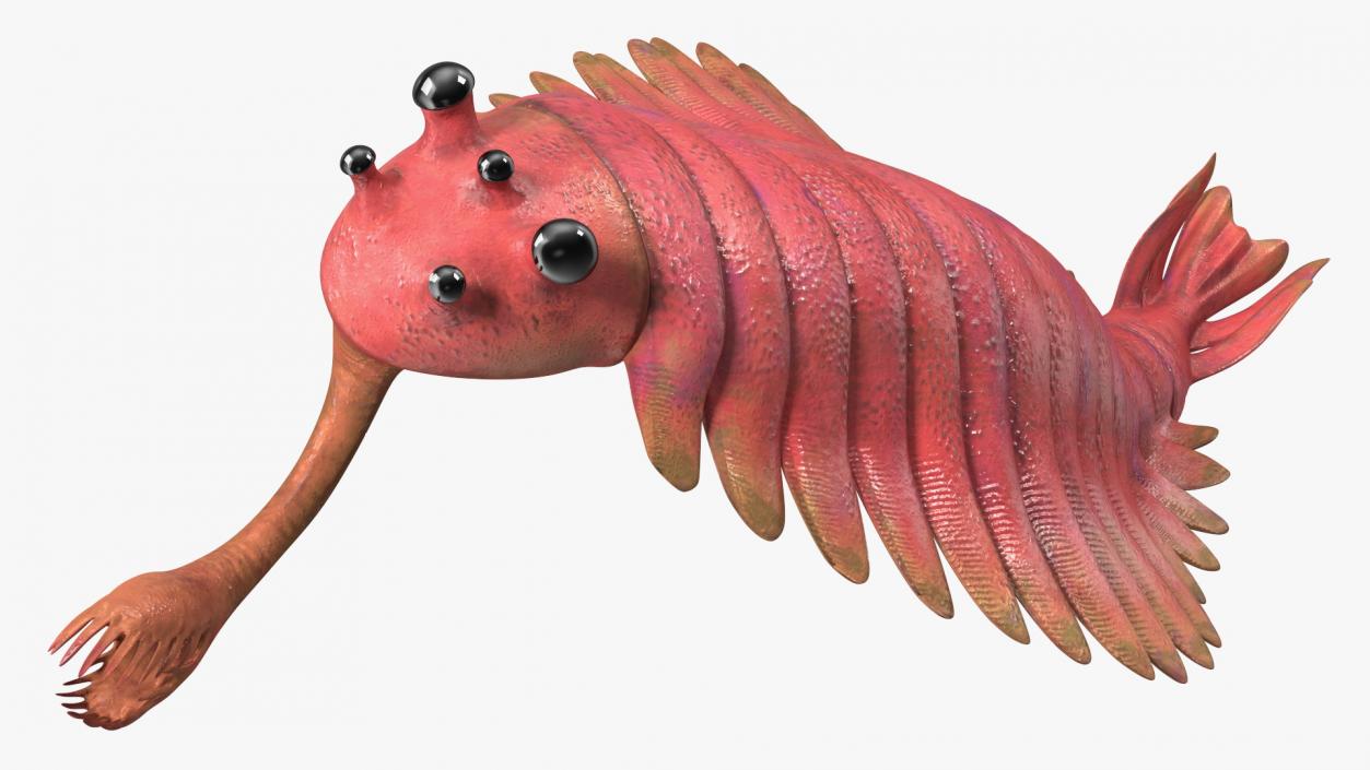 Pink Opabinia Swimming 3D