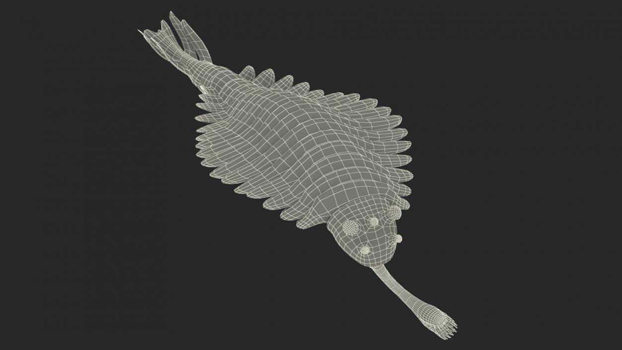 Pink Opabinia Swimming 3D