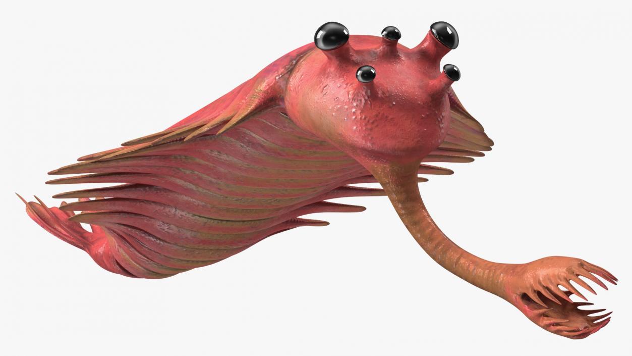 Pink Opabinia Swimming 3D