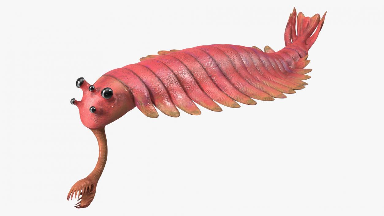 Pink Opabinia Swimming 3D