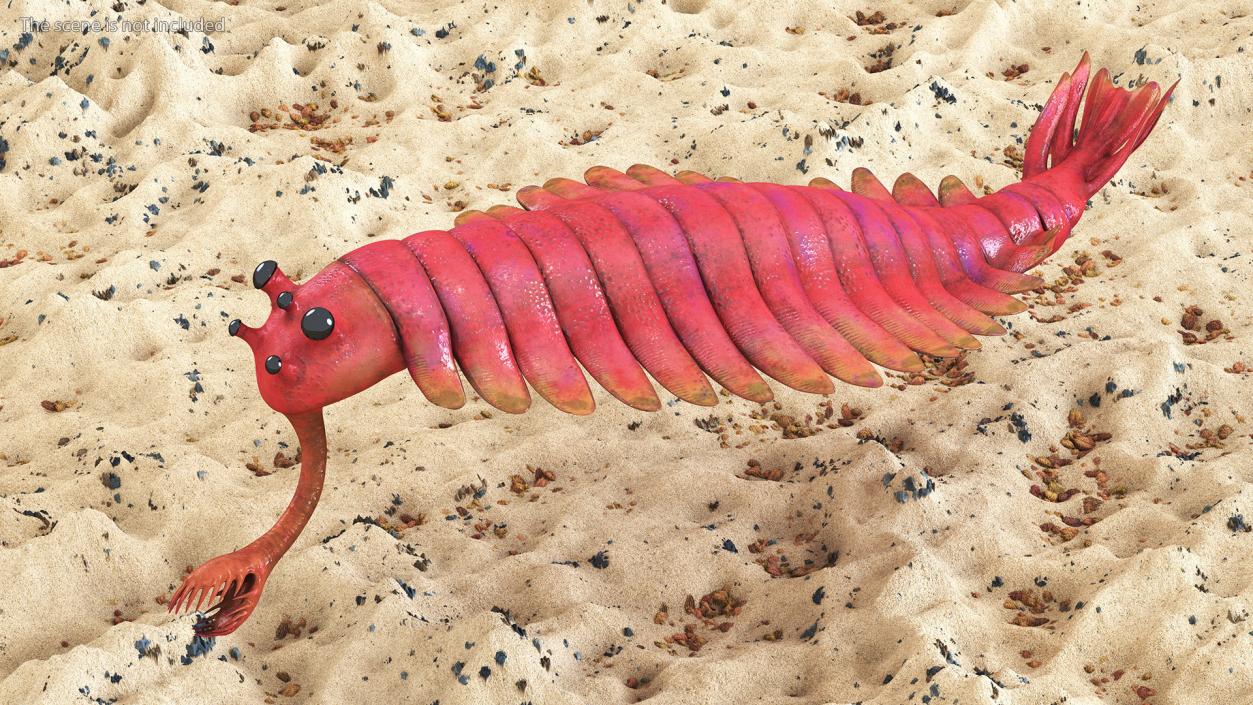 Pink Opabinia Swimming 3D