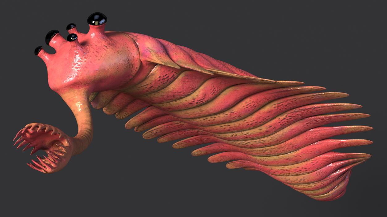 Pink Opabinia Swimming 3D