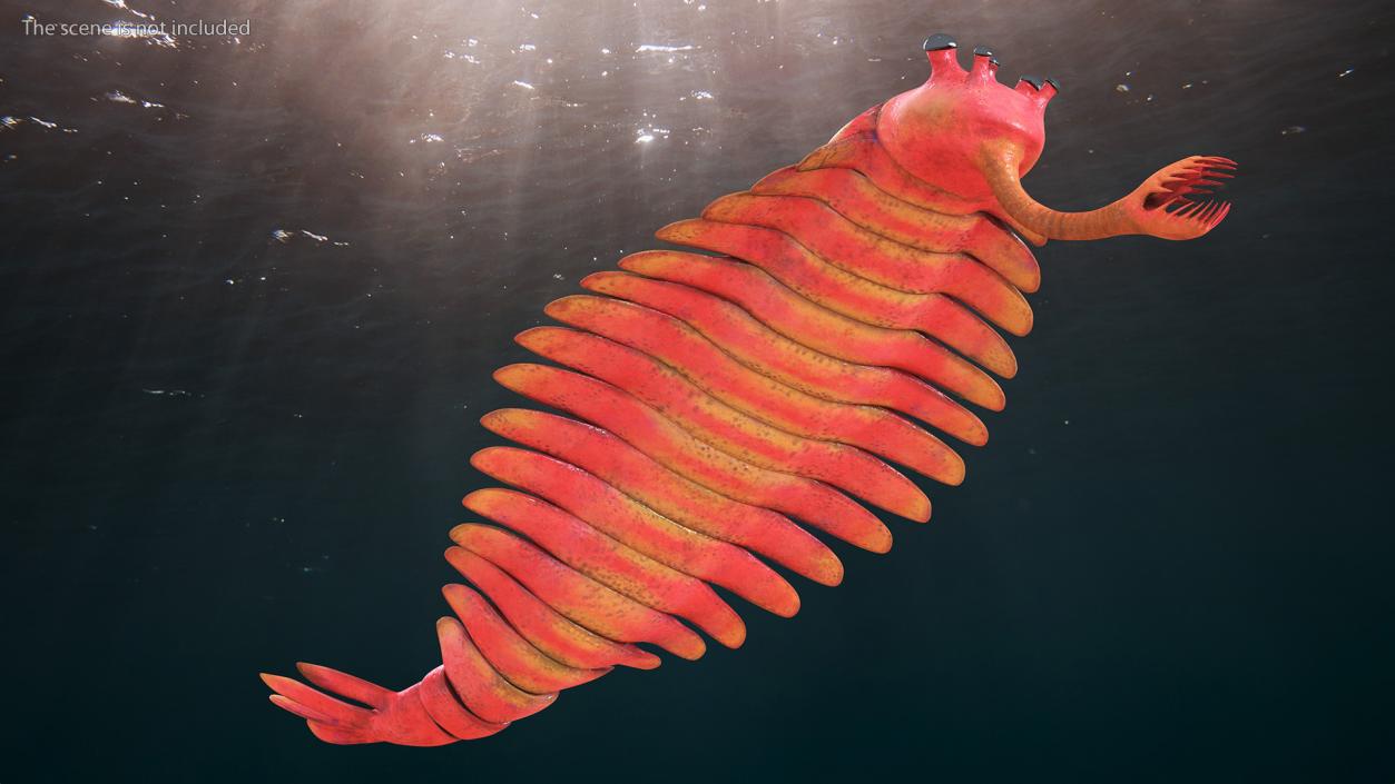 Pink Opabinia Swimming 3D