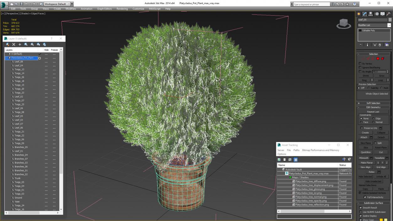 3D Platycladus Pot Plant