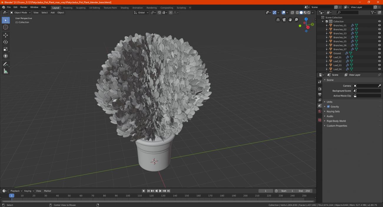 3D Platycladus Pot Plant