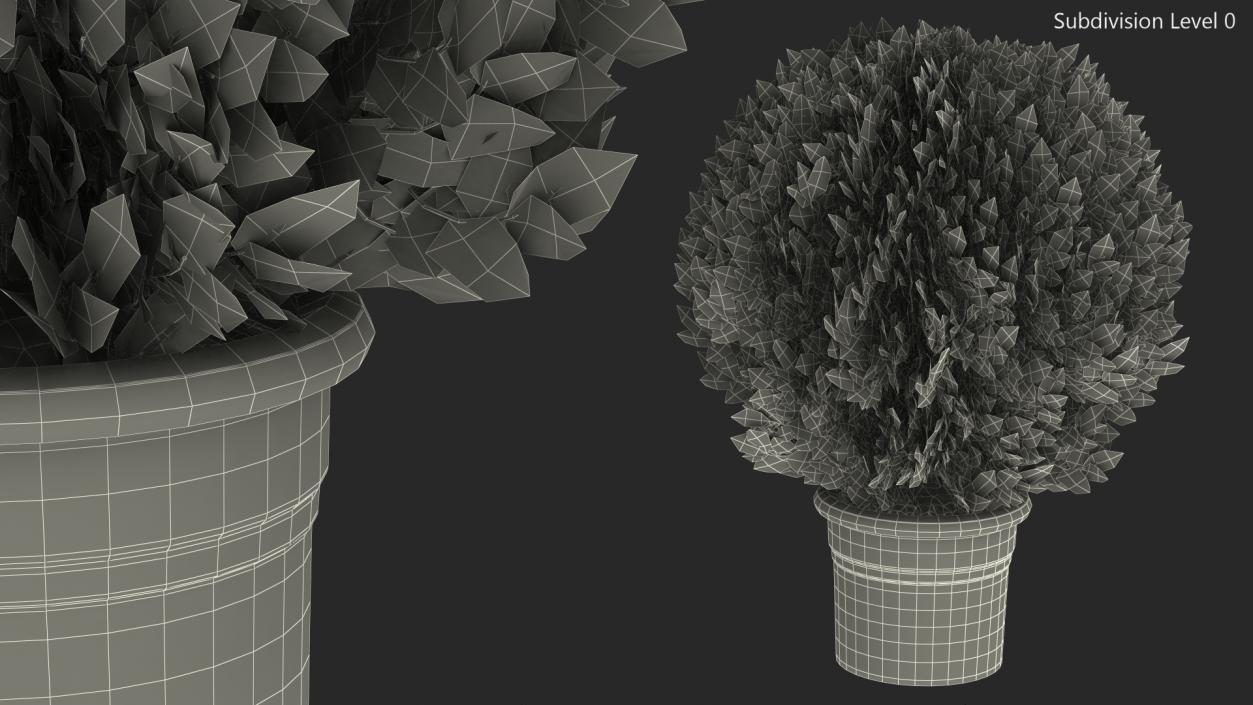 3D Platycladus Pot Plant