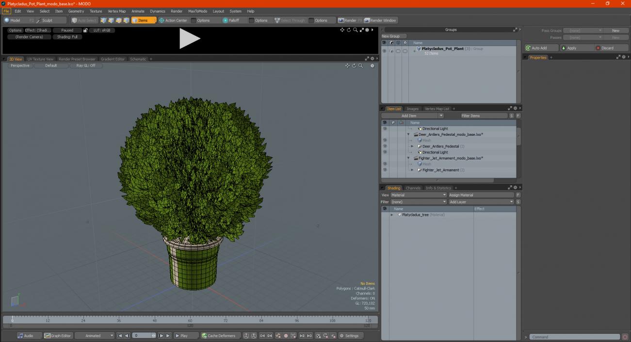 3D Platycladus Pot Plant