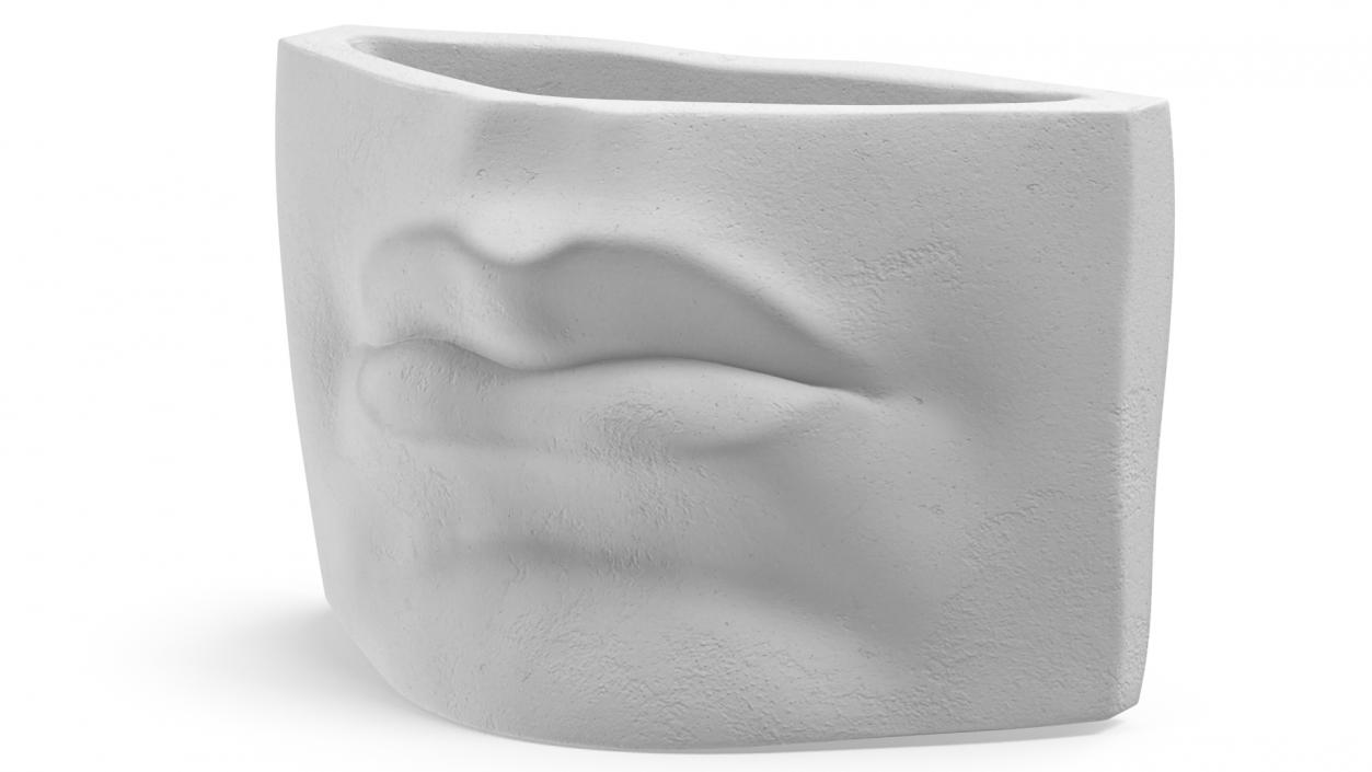 Michelangelo David lips decor Gypsum for 3D Print 3D model