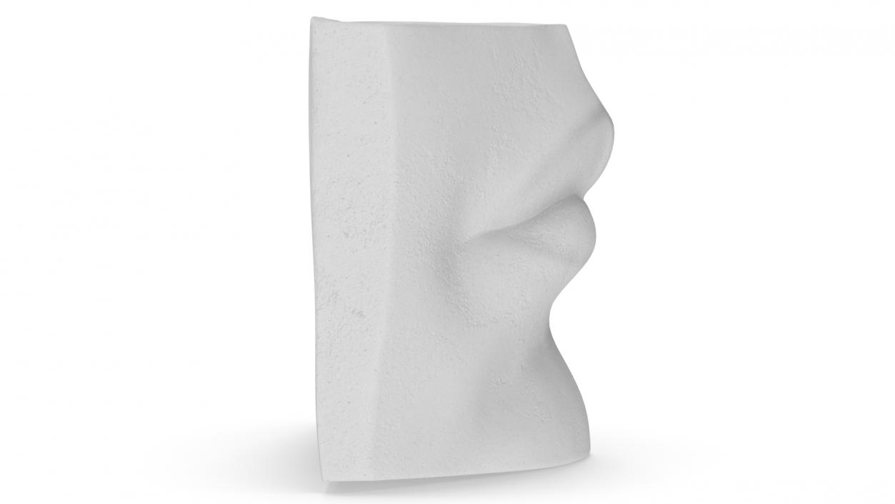 Michelangelo David lips decor Gypsum for 3D Print 3D model