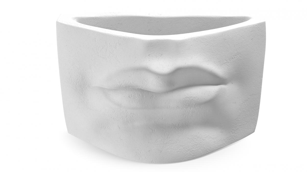 Michelangelo David lips decor Gypsum for 3D Print 3D model