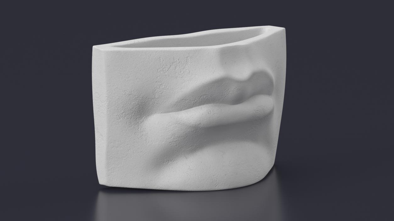 Michelangelo David lips decor Gypsum for 3D Print 3D model