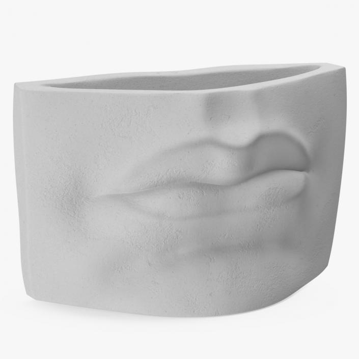 Michelangelo David lips decor Gypsum for 3D Print 3D model