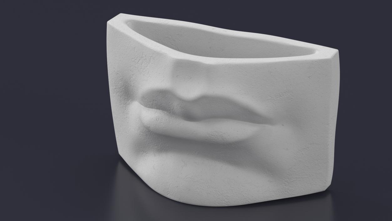 Michelangelo David lips decor Gypsum for 3D Print 3D model