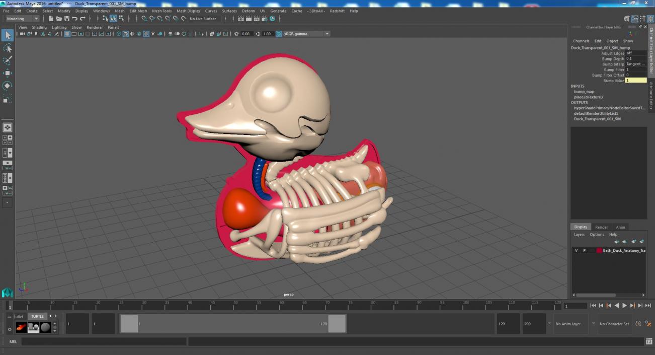 3D model Bath Duck Anatomy Transparent Shell