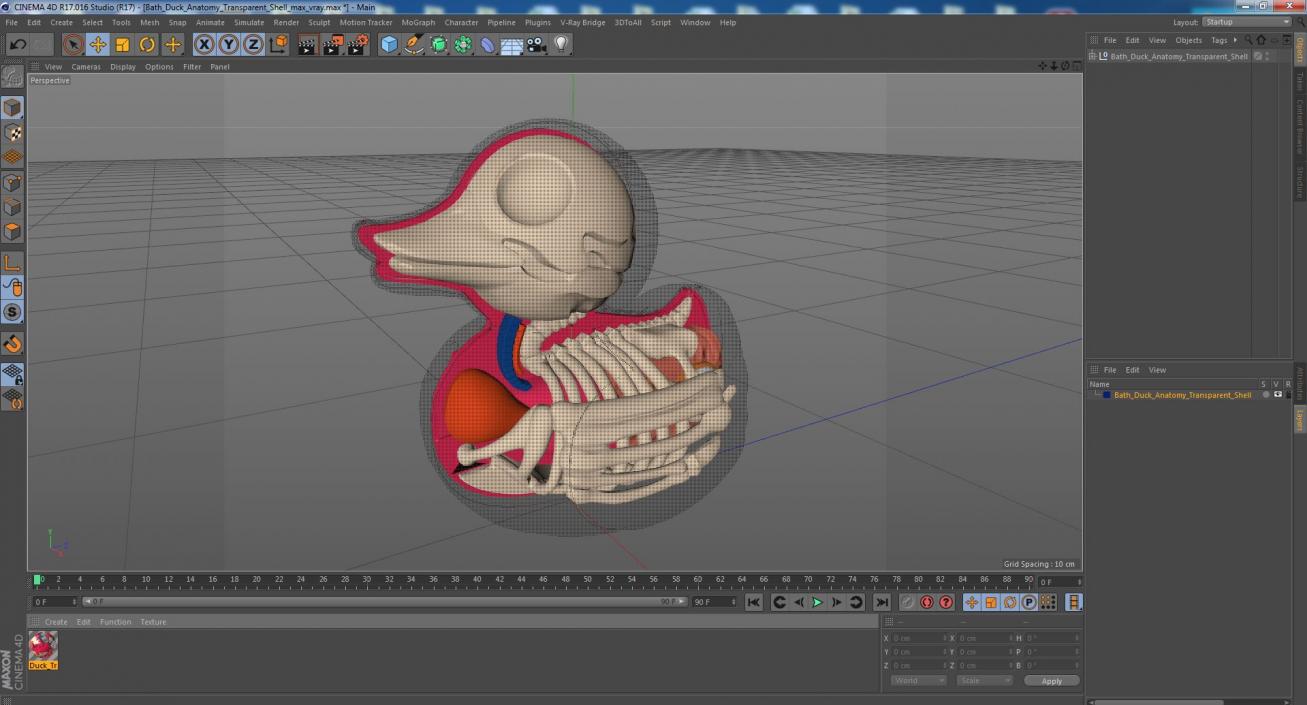 3D model Bath Duck Anatomy Transparent Shell