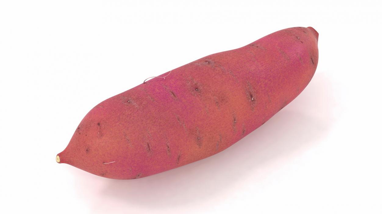 3D Sweet Potato Red