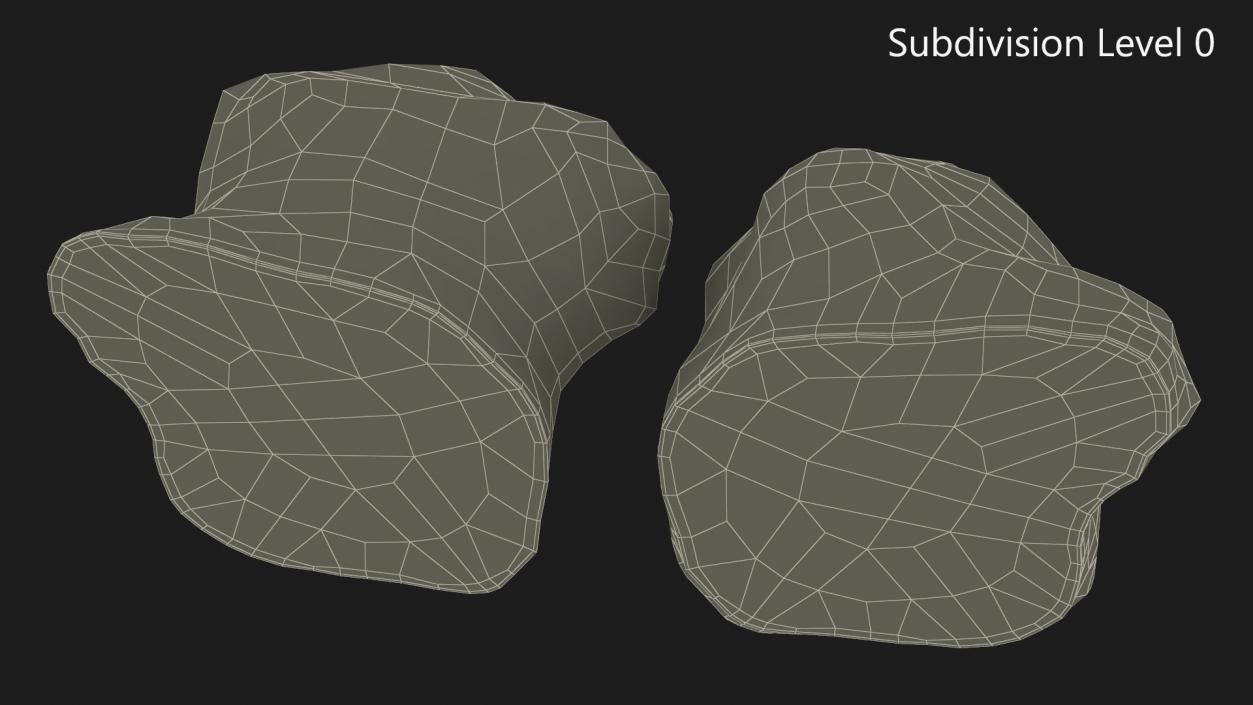 3D Sunroot Tubers Halves