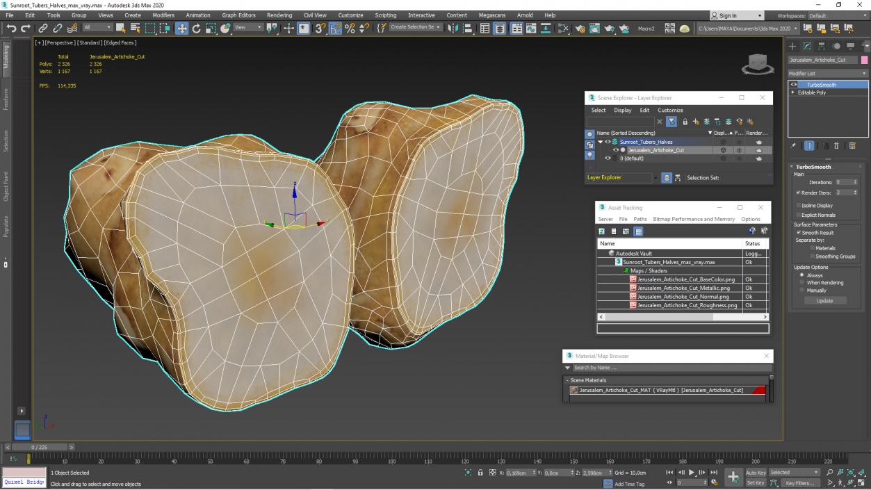 3D Sunroot Tubers Halves