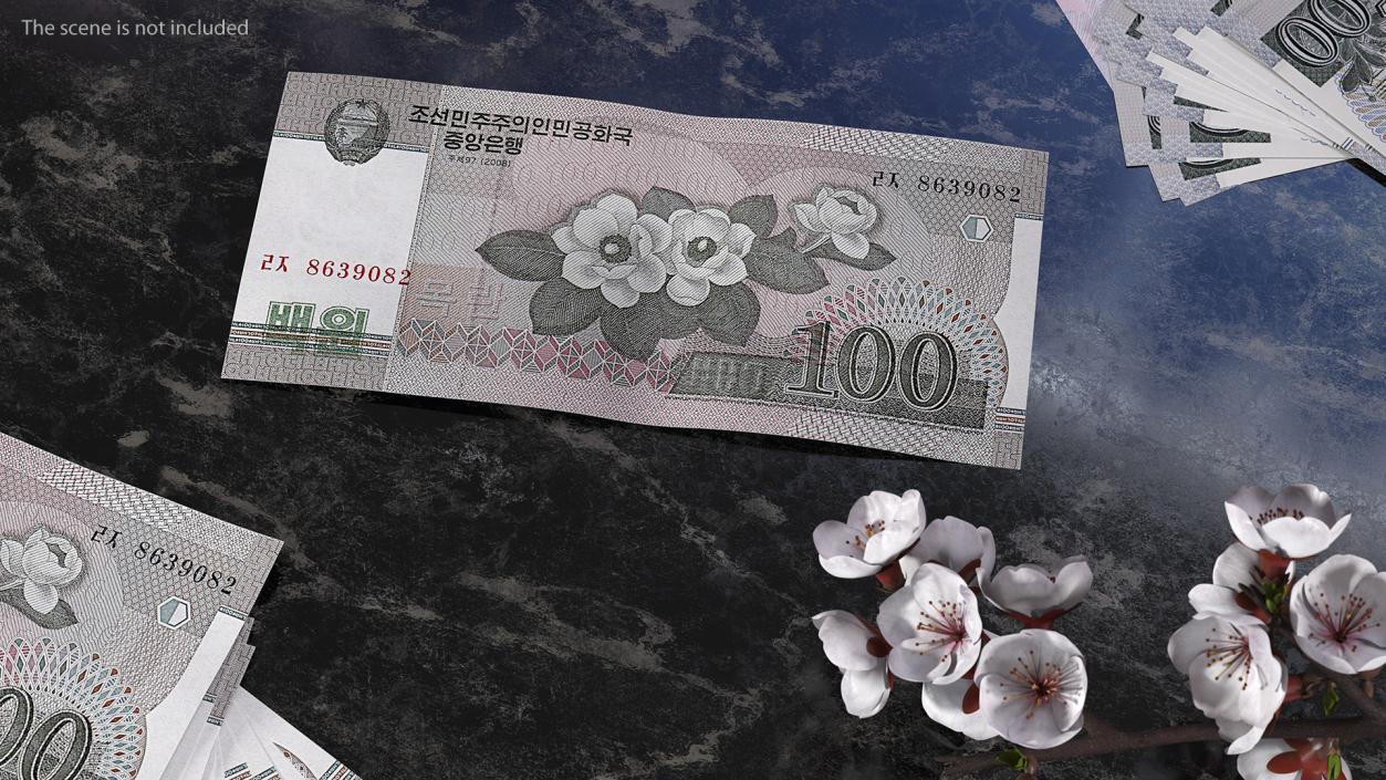 North Korea 100 Won Banknotes Pack 3D model