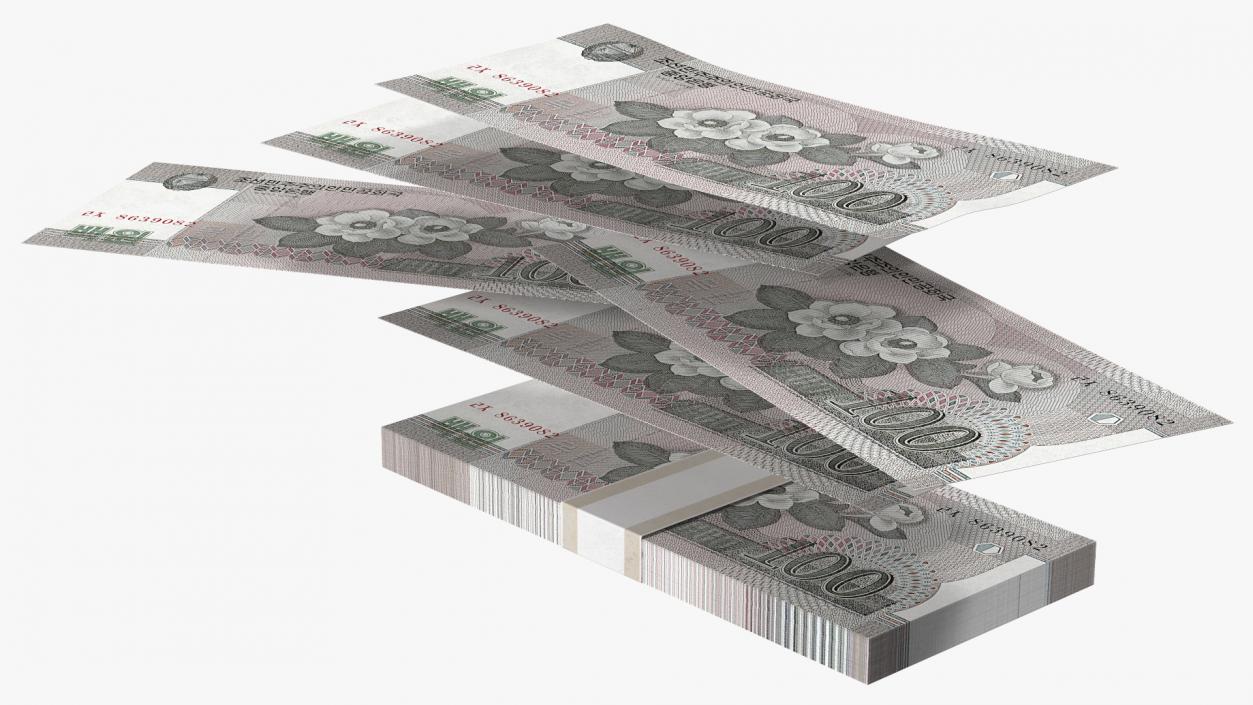 North Korea 100 Won Banknotes Pack 3D model