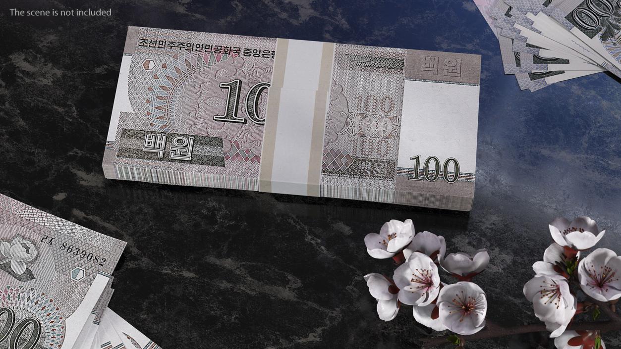 North Korea 100 Won Banknotes Pack 3D model