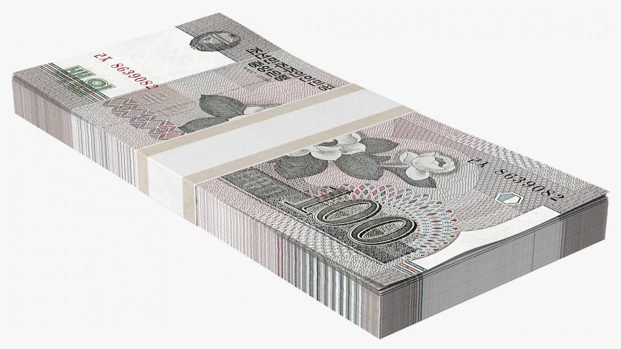 North Korea 100 Won Banknotes Pack 3D model