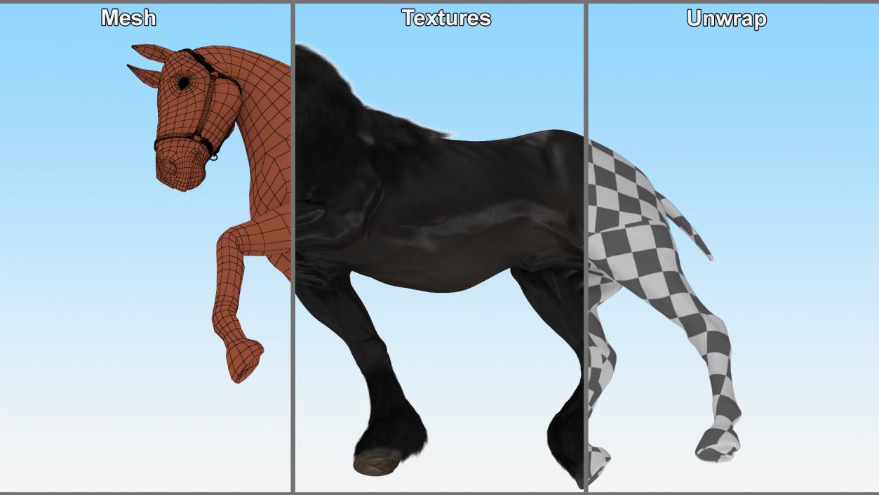 3D Walking Friesian Horse Fur