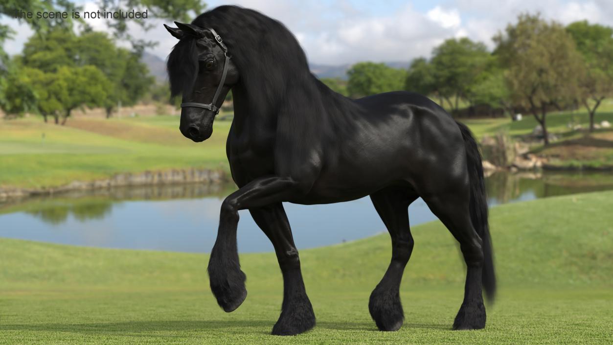 3D Walking Friesian Horse Fur