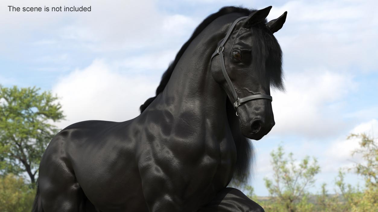 3D Walking Friesian Horse Fur