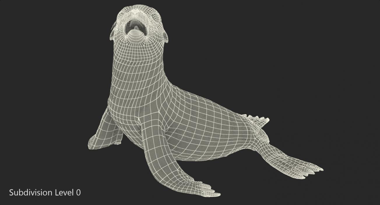 3D model Sea Lion Wet Seating Pose