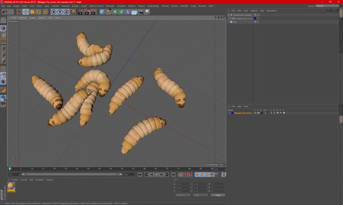 3D Maggot Fly Scene