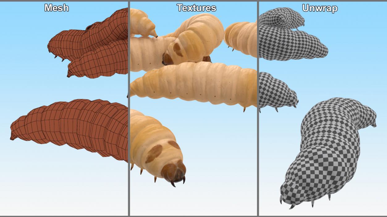 3D Maggot Fly Scene