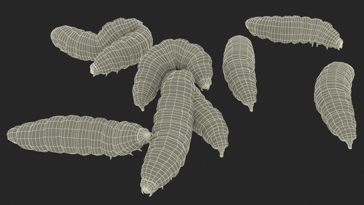 3D Maggot Fly Scene