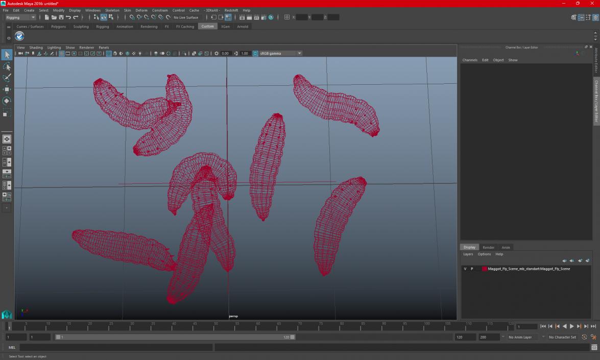 3D Maggot Fly Scene