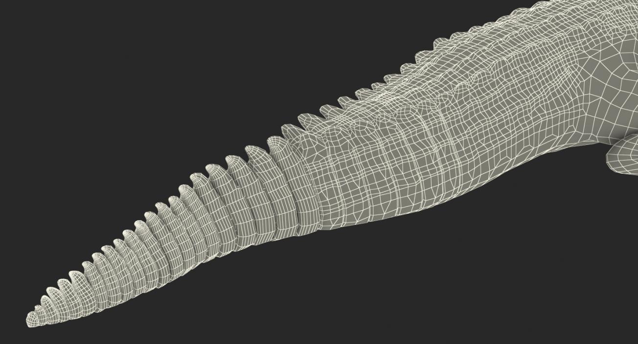 Crocodile Walking 3D