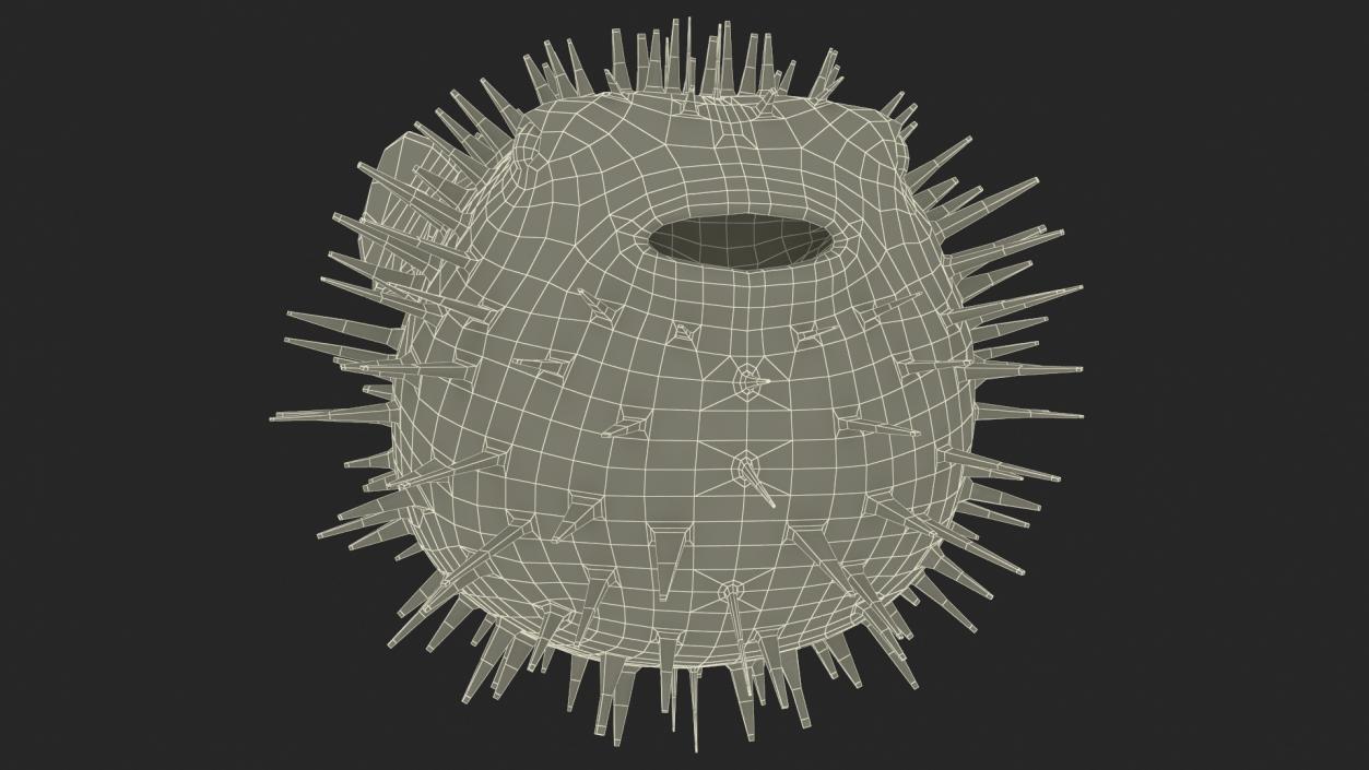 3D model Inflated Puffer Fish