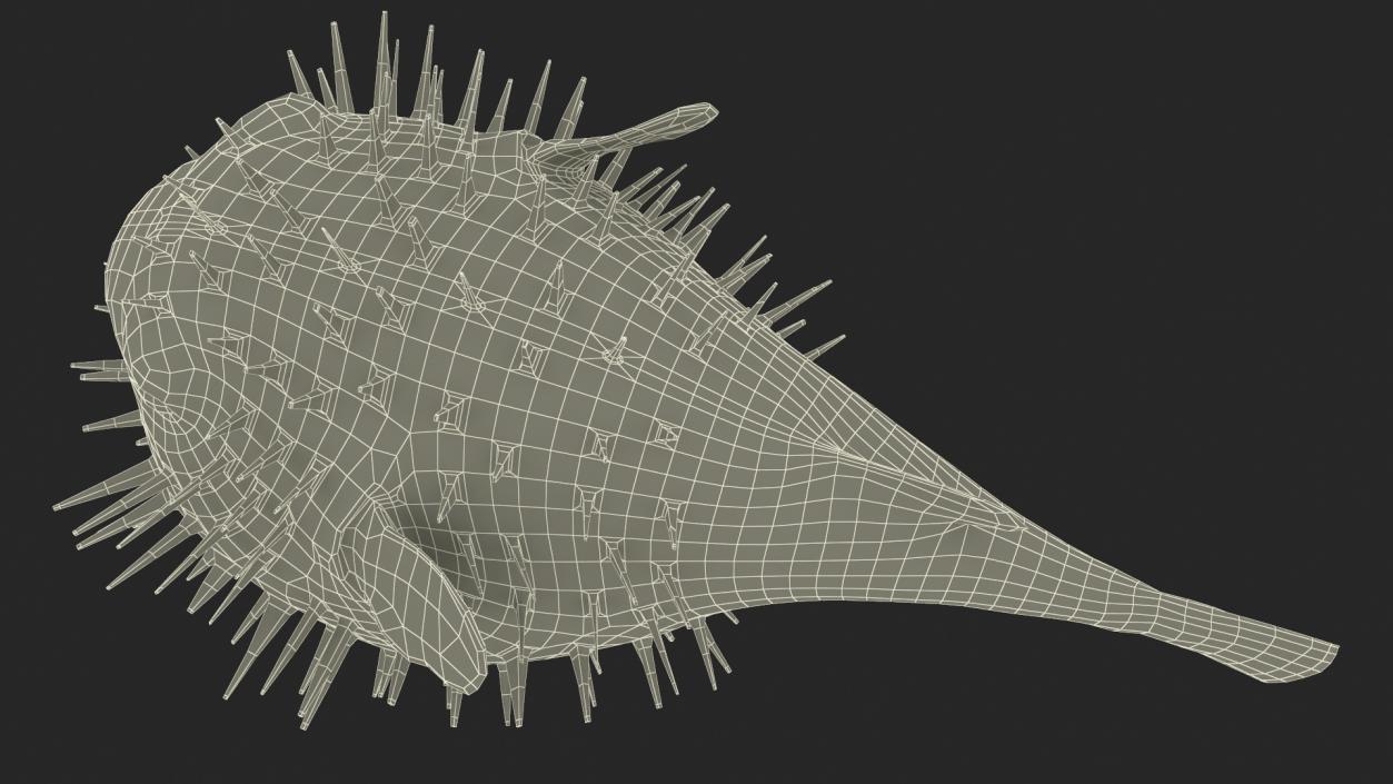 3D model Inflated Puffer Fish