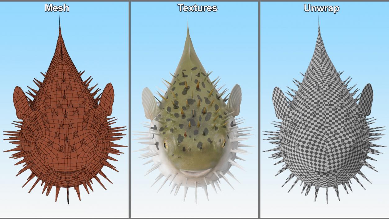 3D model Inflated Puffer Fish