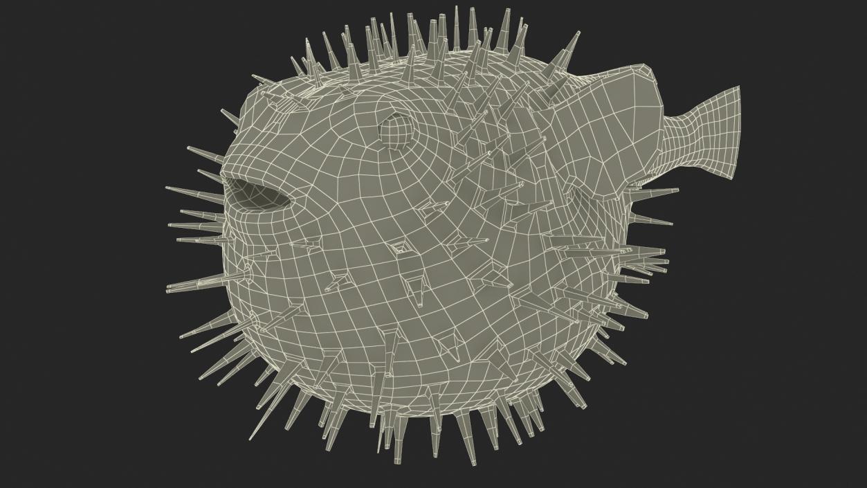 3D model Inflated Puffer Fish