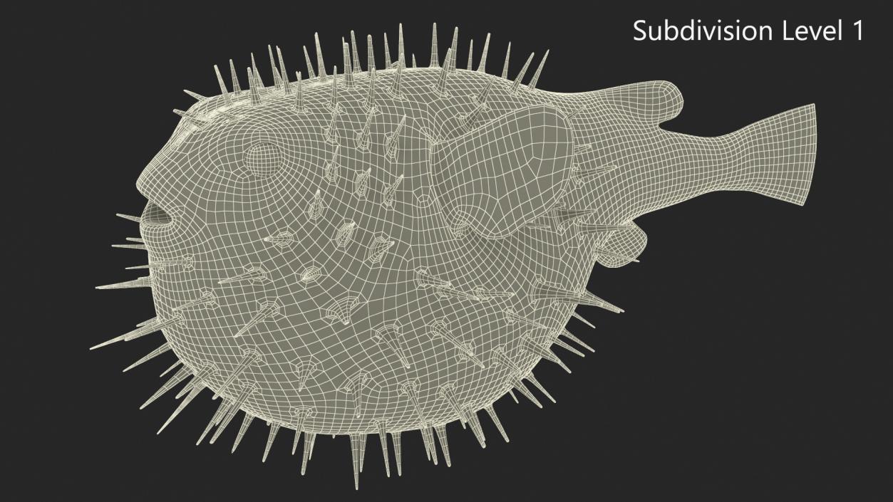 3D model Inflated Puffer Fish