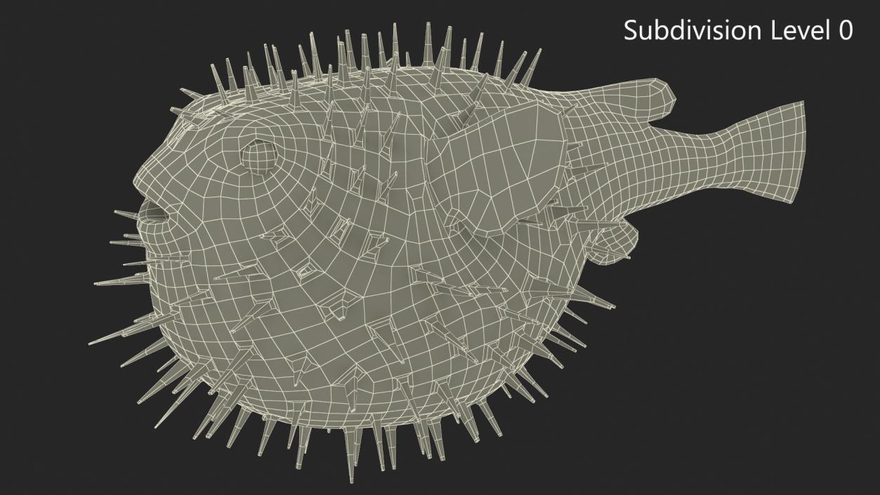 3D model Inflated Puffer Fish