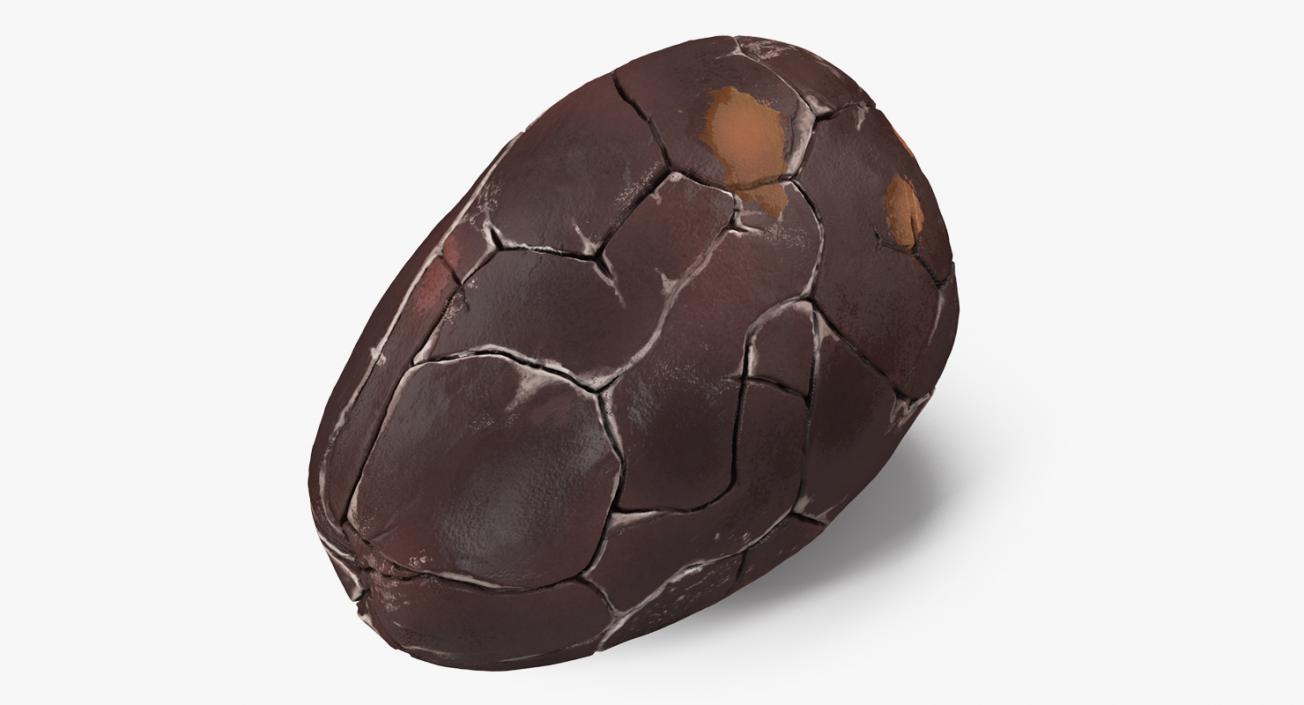 3D model Cocoa Bean