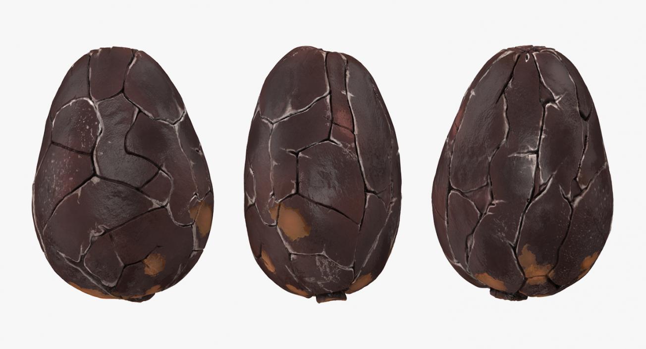 3D model Cocoa Bean