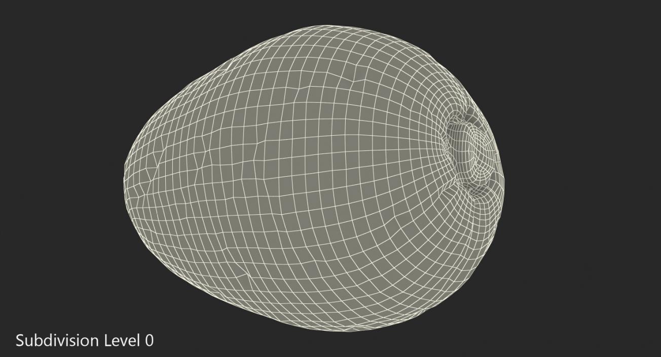 3D model Cocoa Bean