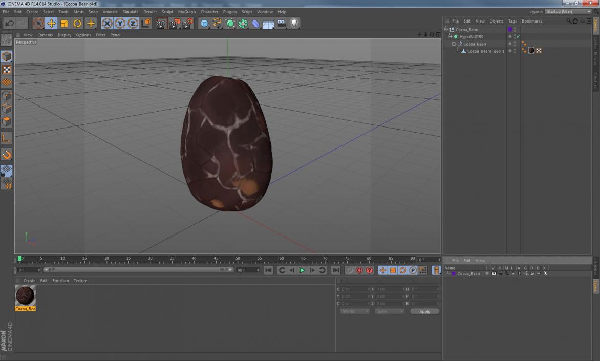 3D model Cocoa Bean