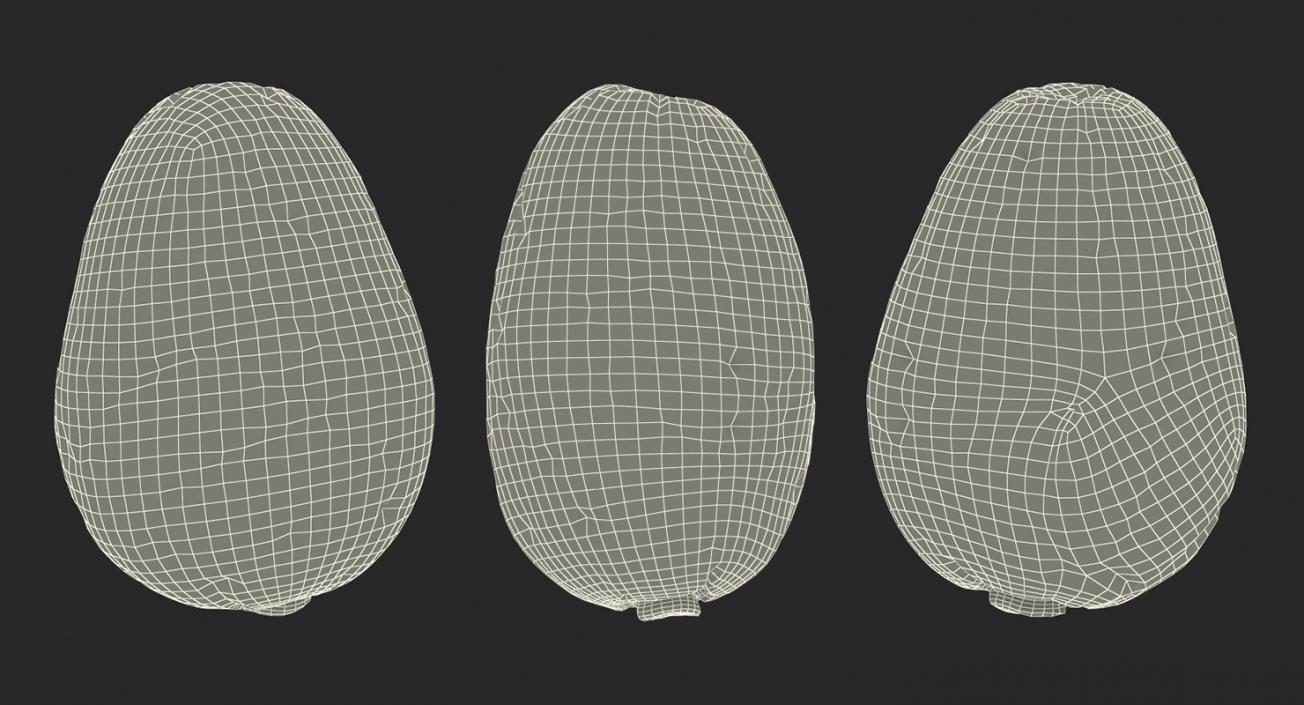 3D model Cocoa Bean