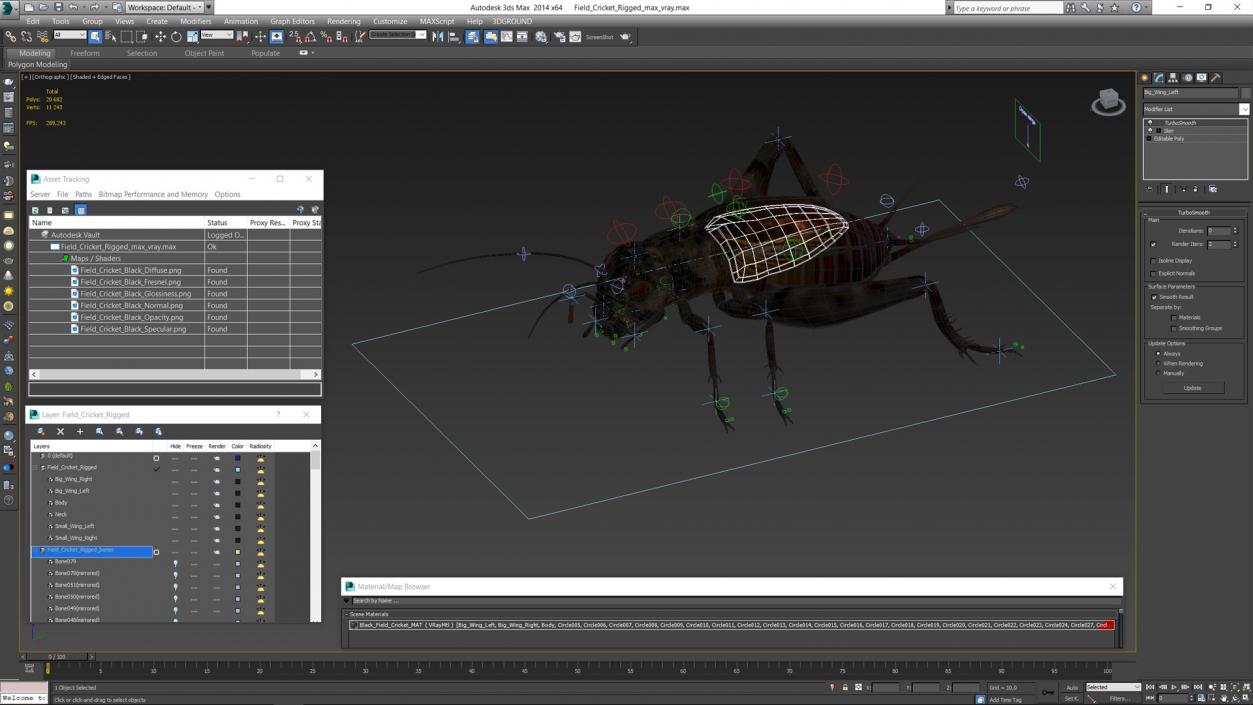 Field Cricket Rigged for Maya 3D model